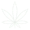 White CBD Cannabis cbd.xmc.pl