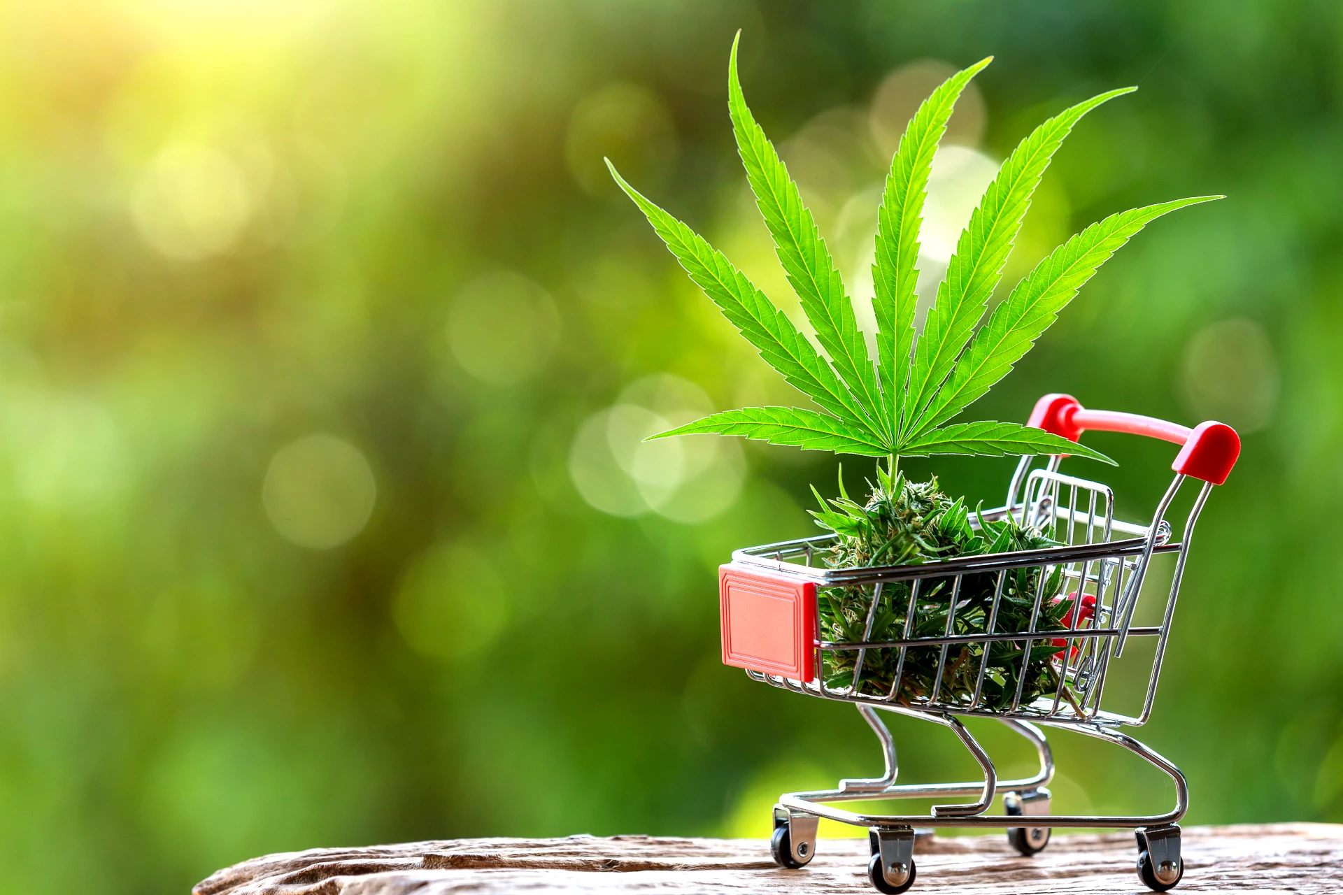Owocowe CBD SKLEP z marihuaną
